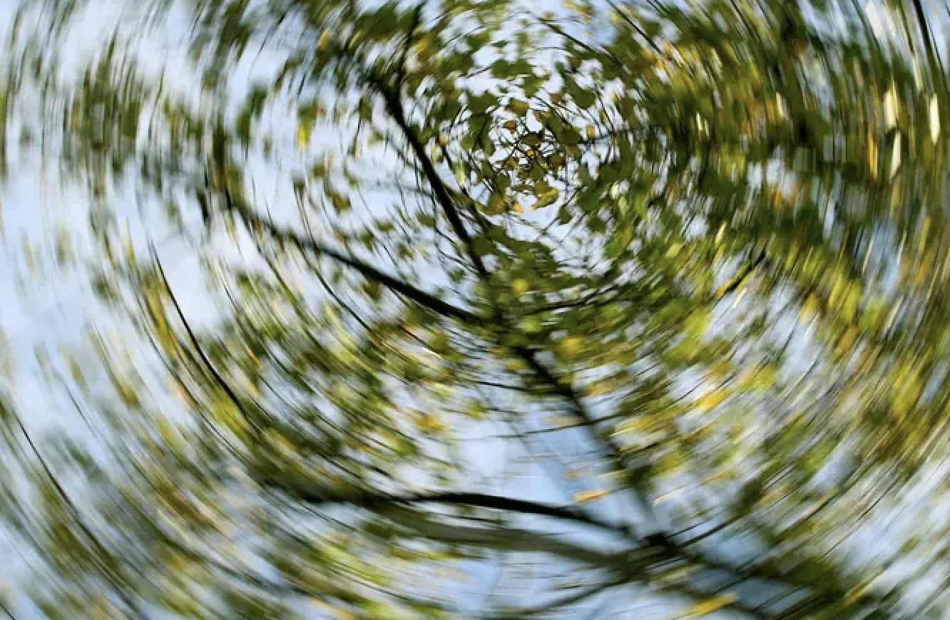 stigmiotypo othonis 2025 10 17 03.44.47