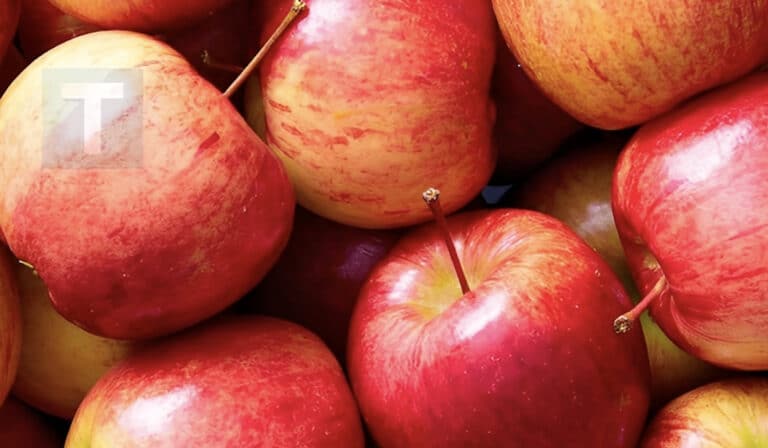 Αυτό που κανείς δεν σου είπε για τα μήλα – Μια φυσική ασπίδα