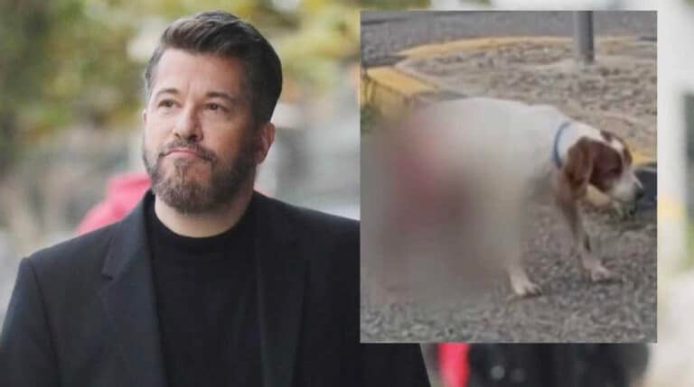 Βαρθακούρης: «Πυρ και μανία» για την κτηνωδία με τα βασανιστήρια σε σκύλο στην Ηλεία – Tα πολύ σκληρά του λόγια Βαρθακούρης: «Πυρ και μανία» για την κτηνωδία με τα βασανιστήρια σε σκύλο στην Ηλεία – Tα πολύ σκληρά του λόγια