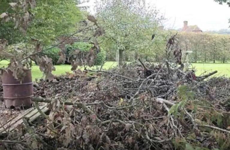 Μπορείτε να εντοπίσετε τον κρυμμένο σκύλο; Μόνο όσοι έχουν αετίσια όραση μπορούν