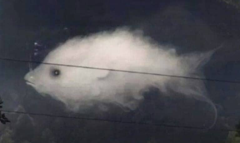 Τεστ: Αυτό που βλέπετε πρώτα αποκαλύπτει κάτι σημαντικό για την προσωπικότητά σας