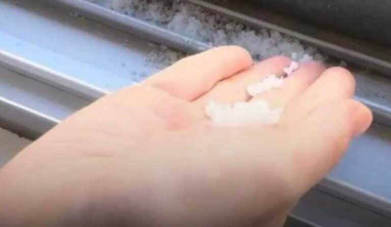 Πασπαλίστε λίγο αλάτι στις σχισμές της πόρτας και θα δείτε κάτι ιδιαίτερο μετά από 5 λεπτά.