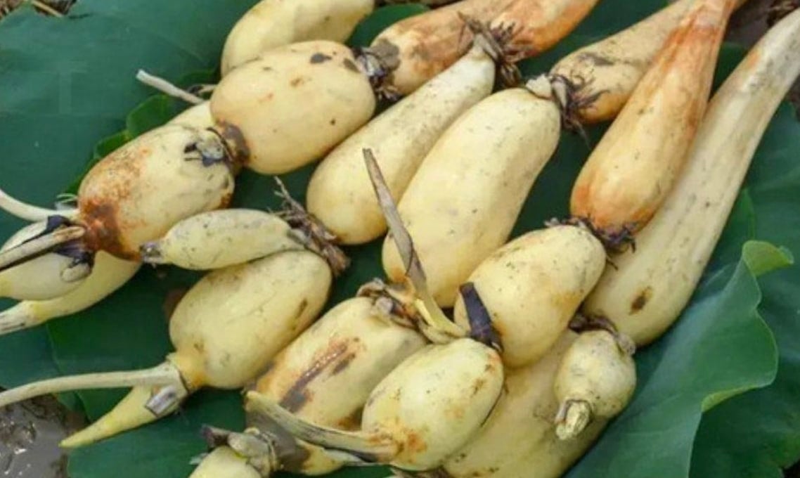 Στιγμιότυπο οθόνης 2025-10-29, 17.42.55