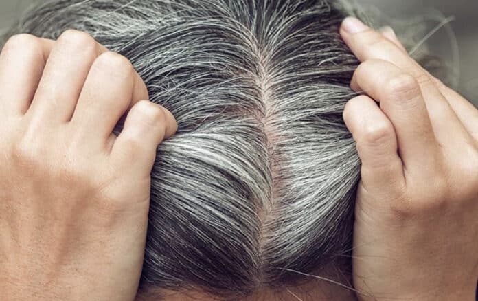 Στιγμιότυπο οθόνης 2025-10-30, 17.15.43