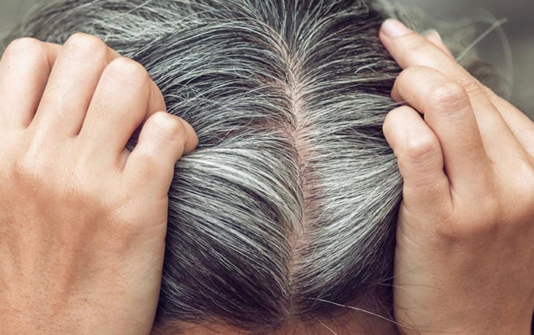 Στιγμιότυπο οθόνης 2025-10-30, 17.15.43