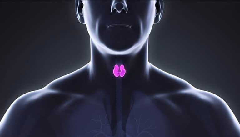 Φερριτίνη και σίδηρος: Ποια συμπτώματα συνδέονται με τη χαμηλή φερριτίνη – Η σχέση τους με τον θυρεοειδή;