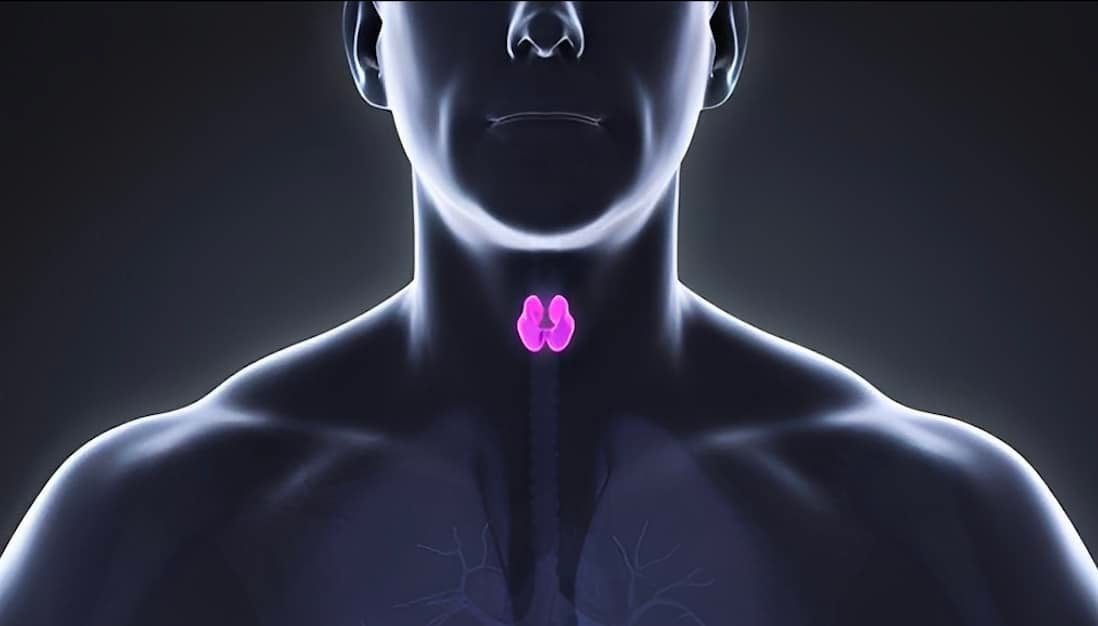 Στιγμιότυπο οθόνης 2025-10-30, 23.49.05