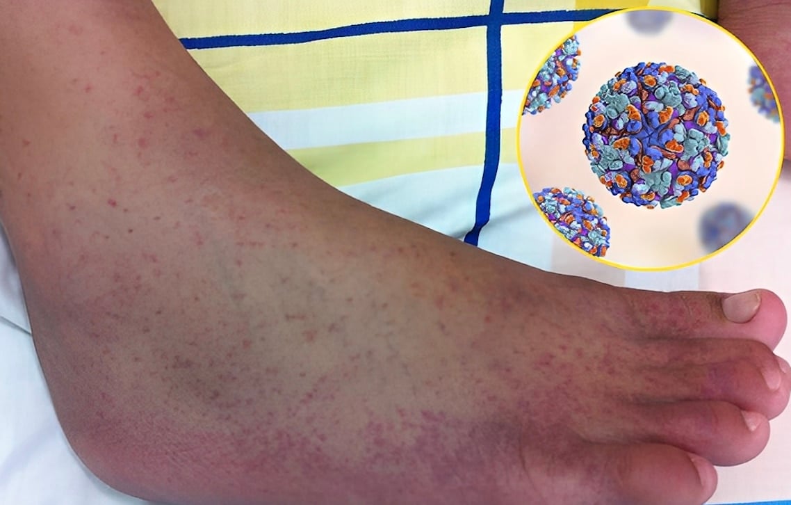 Στιγμιότυπο οθόνης 2025-10-31, 14.09.19