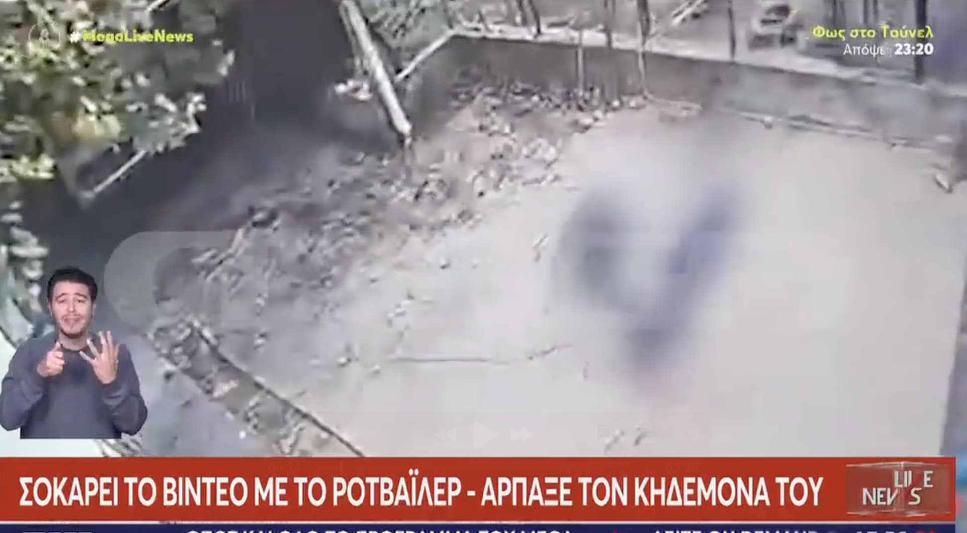 H στιγμή που Ροτβάιλερ κατασπαράζει τον ιδιοκτήτη του στη Καλαμάτα – Σκληρές εικόνες 2 stigmiotypo othonis 2025 10 31 18.44.48