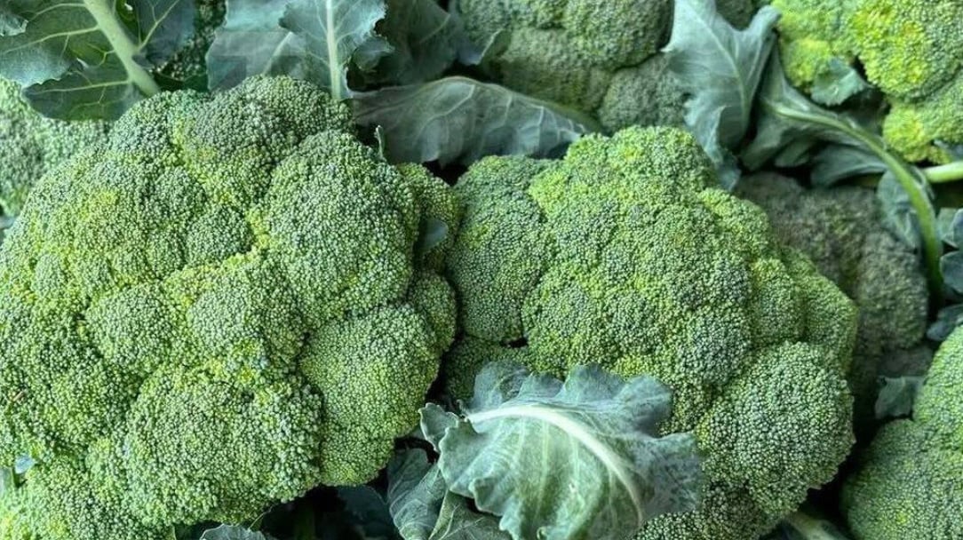 Στιγμιότυπο οθόνης 2025-10-31, 21.42.19