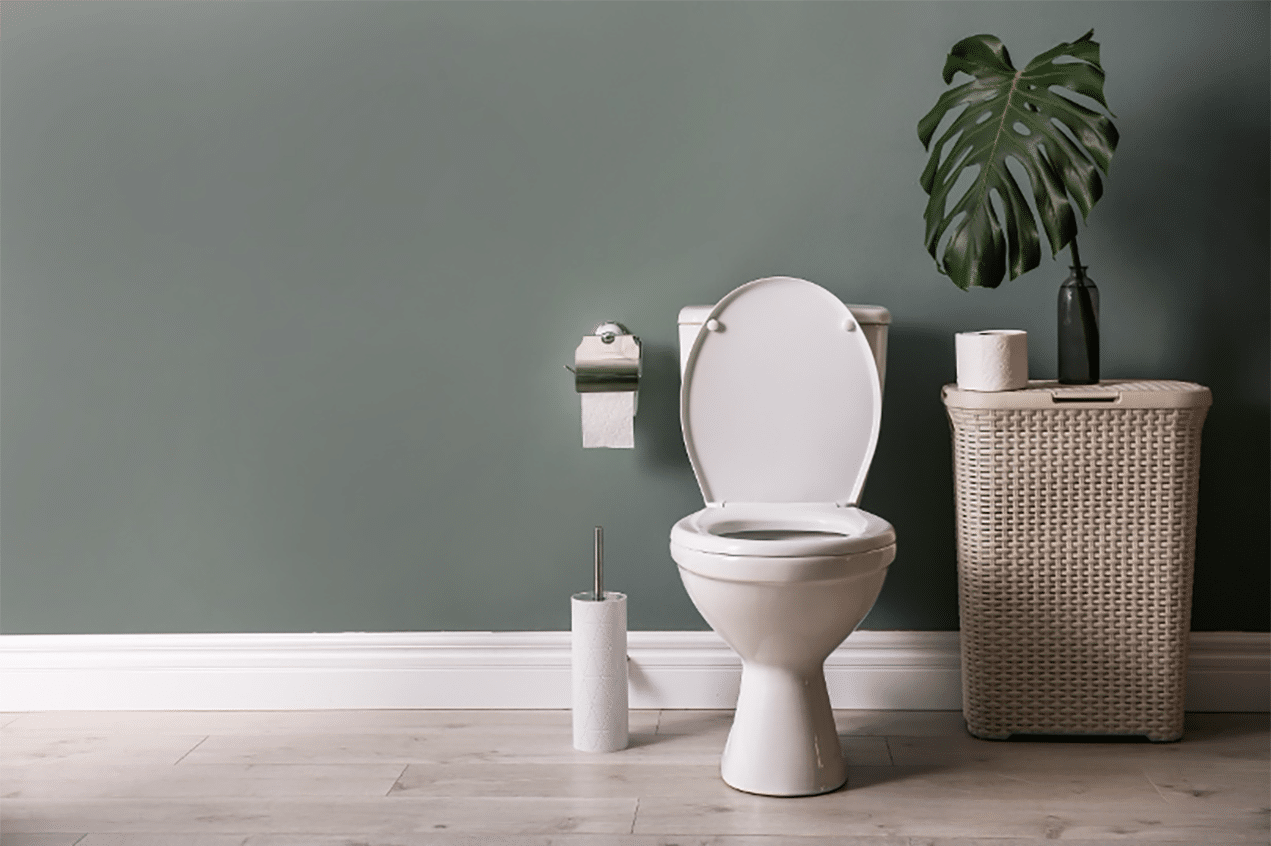 toilet clean 1