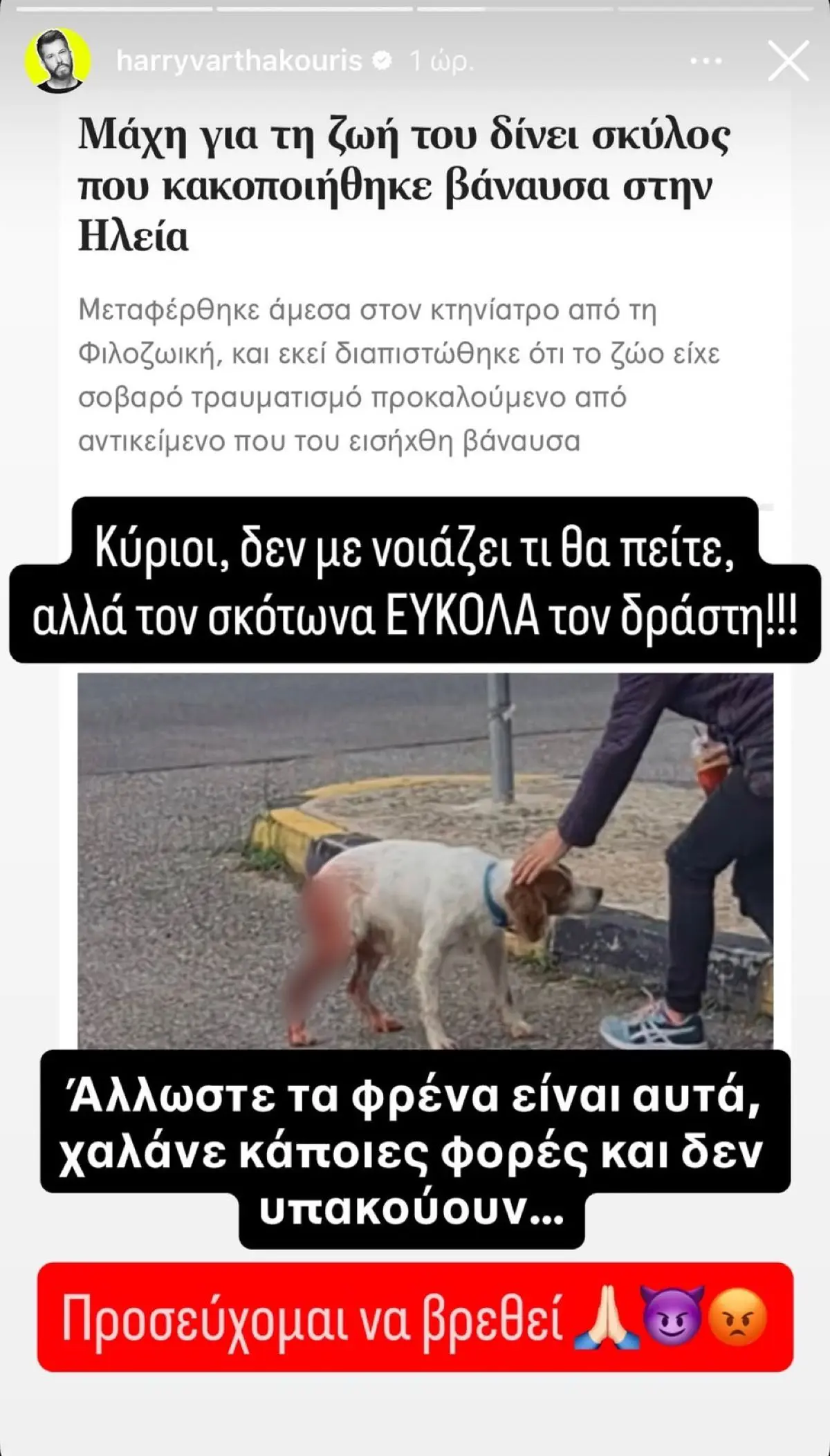 varthakouris kakopoiisi skylou ileia.jpg