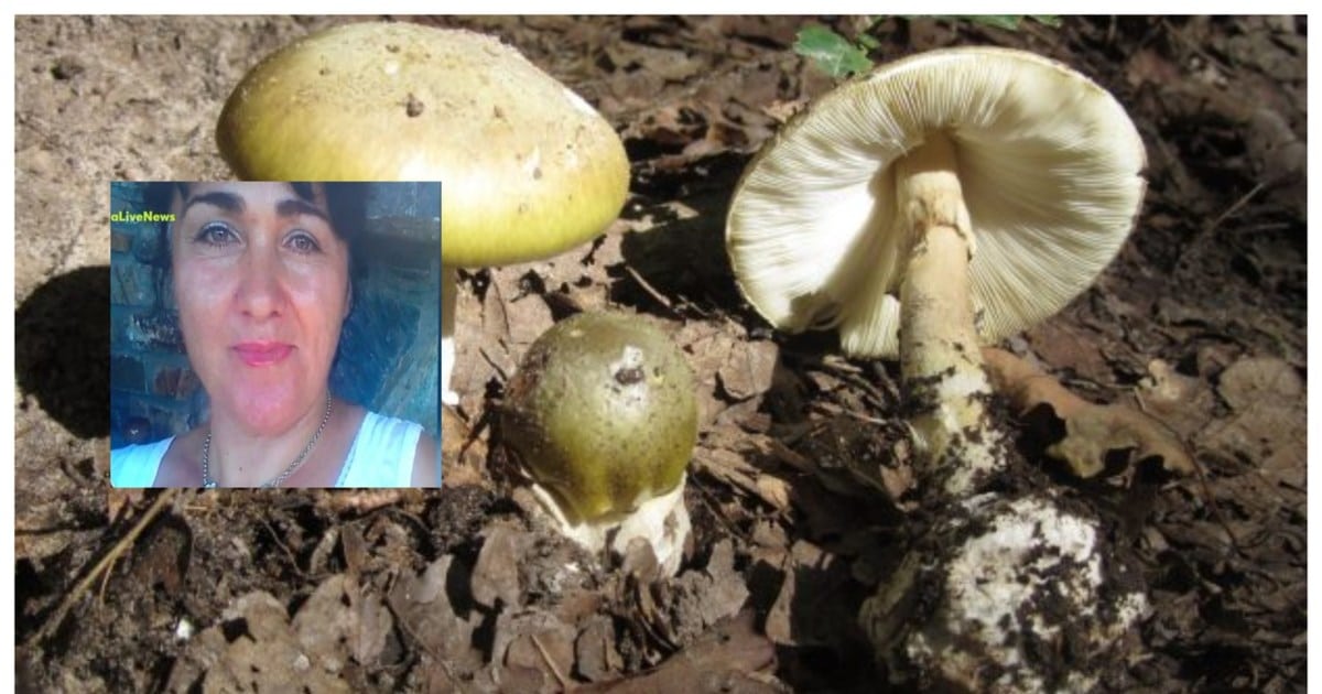 029926684fd5412abd55051d657dc7ea