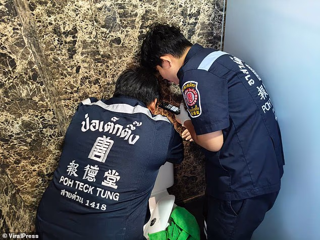 Βίντεο σοκ: Καθαρίστρια βρήκε ζωντανό νεογέννητο μωρό μέσα στο… καζανάκι τουαλέτας 6 103968893 15301345 image a 5 1763456604234