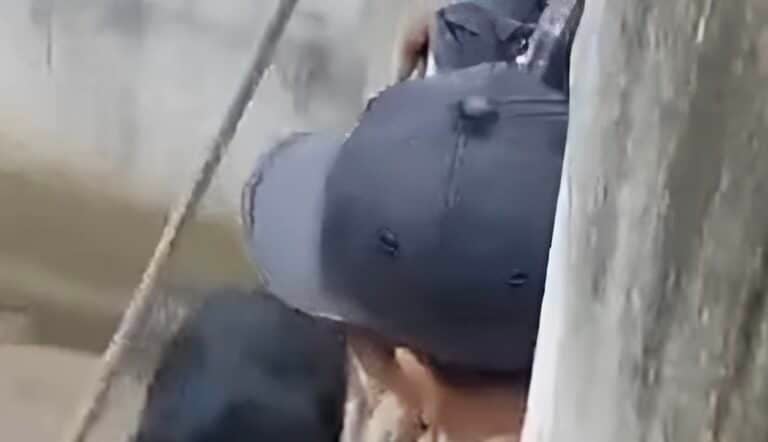 Άνδρας ξέφυγε από αρκούδα που τον «έτpωγε ζωντανó»