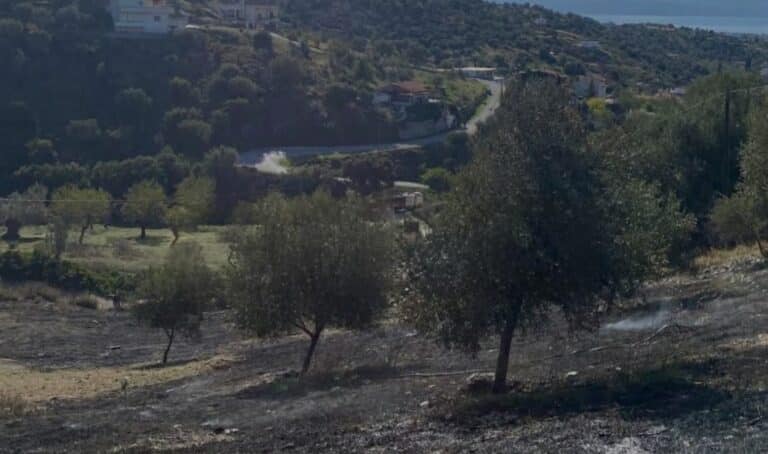 Θρήνος για τον 80χρονο συνταξιούχο αγρότη που κάηκε ζωντανός προσπαθώντας να κάψει ξερόχορτα