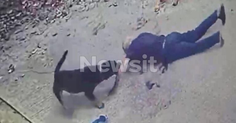 Μαθεύτηκε όλη η αλήθεια – Αυτό έκανε ο 76χρονος ιδιοκτήτης στο ροτβάιλερ και τον κατασπάραξε