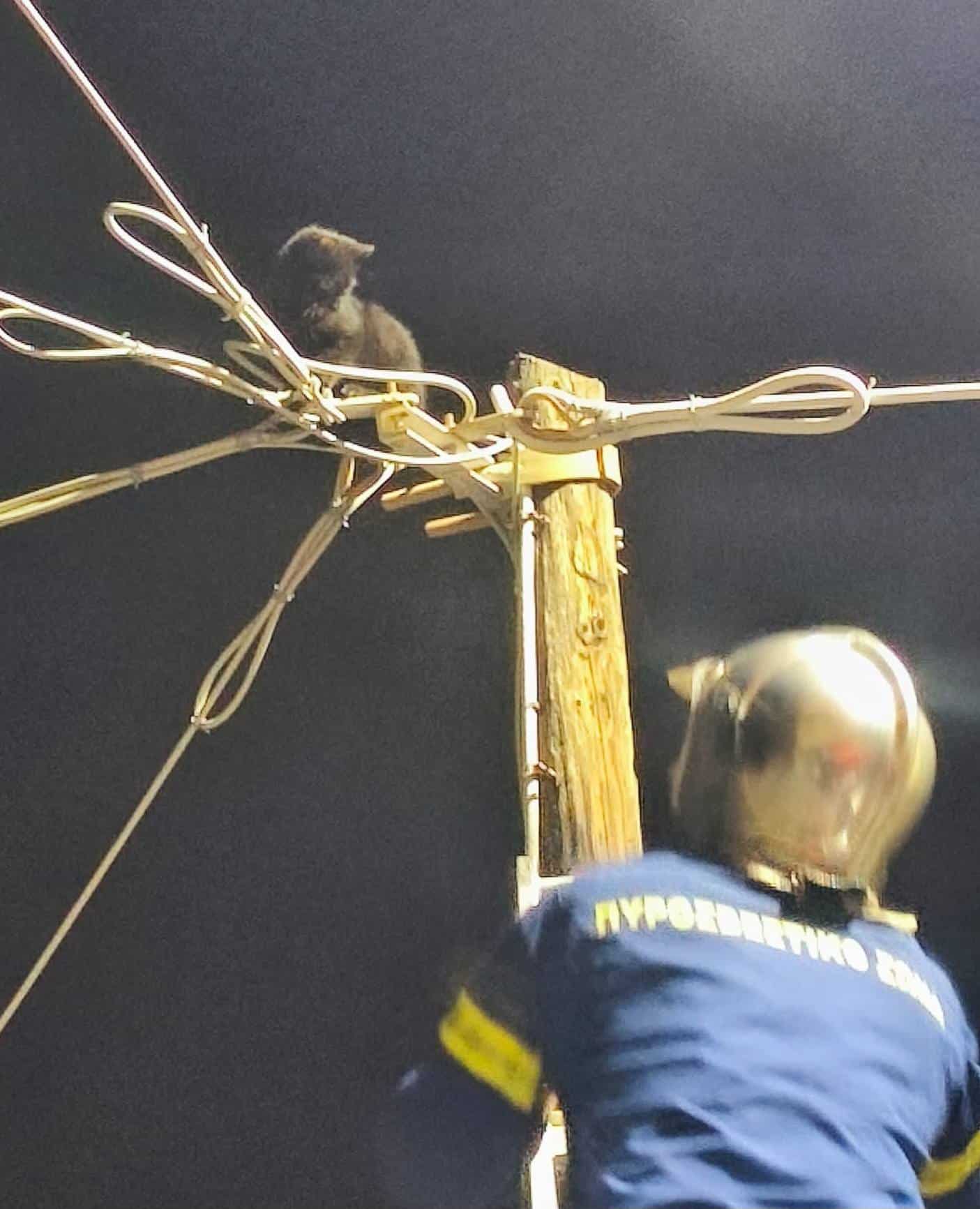 588628272 1543942346933502 8581045078940276727 n