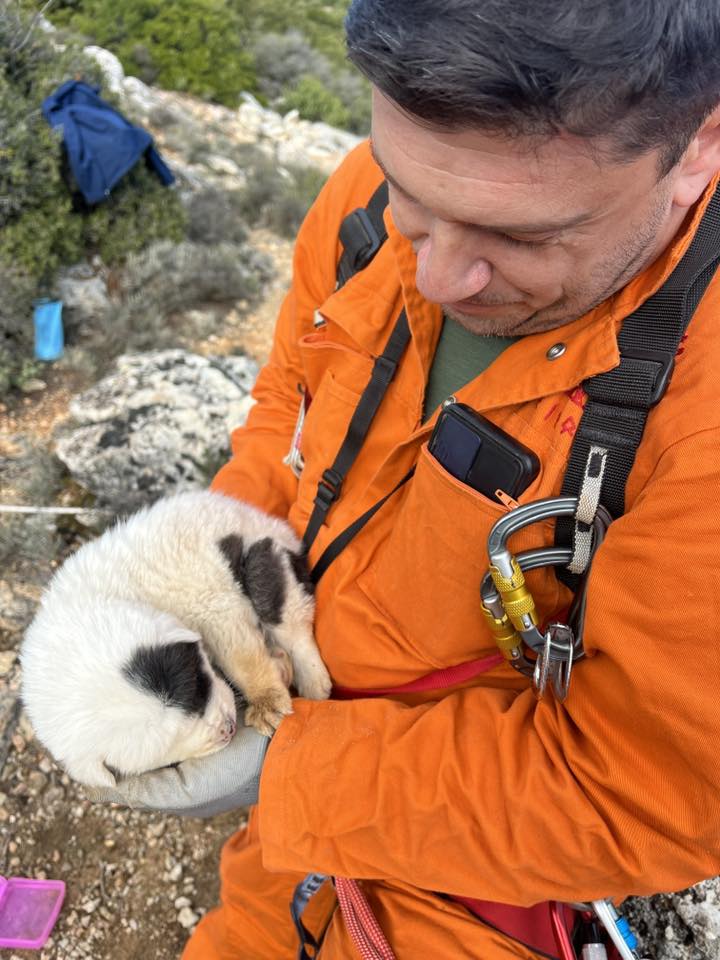 590817621 4360983647521911 6971267277133190609 n