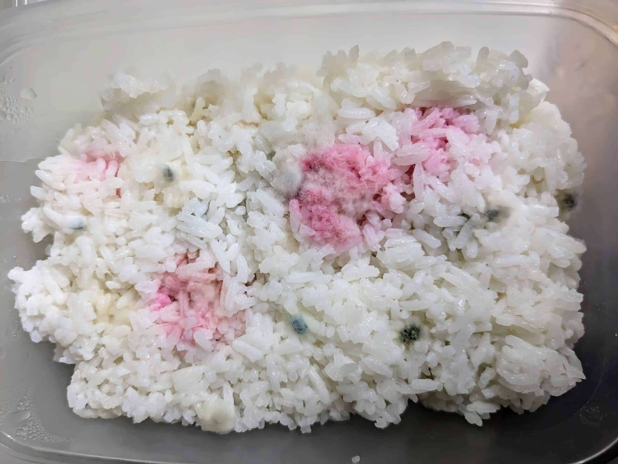 9xnbxi0ptssd1 scaled