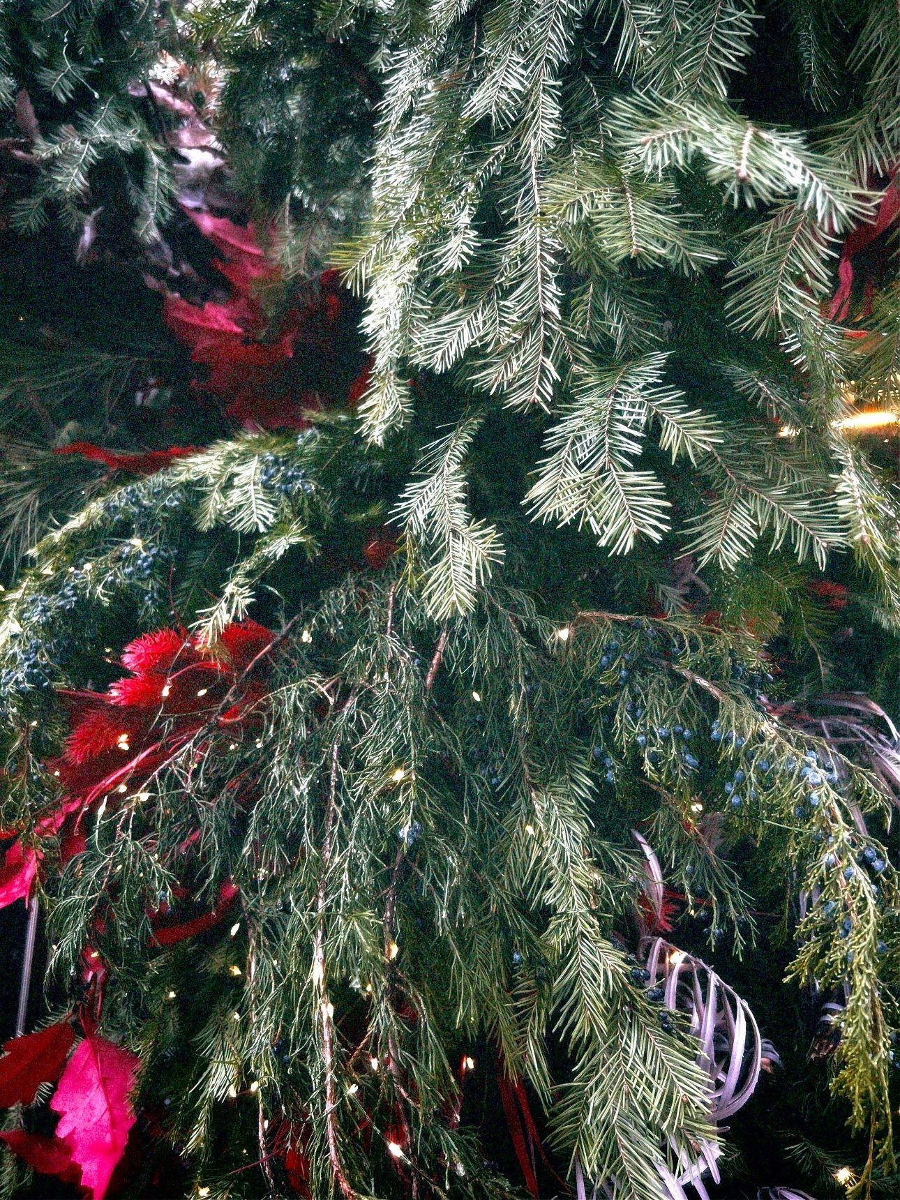 christmas tree natural branches