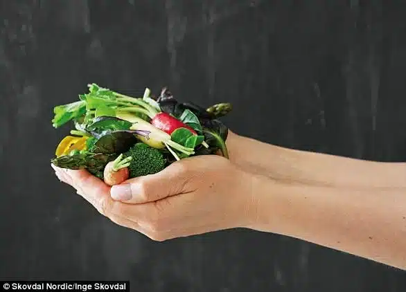 Δανέζα διατροφολόγος βρήκε την ευκολότερη δίαιτα του κόσμου – H ίδια έχασε 38 κιλά μέσα σε 10 μήνες 4 diet2 5.jpg