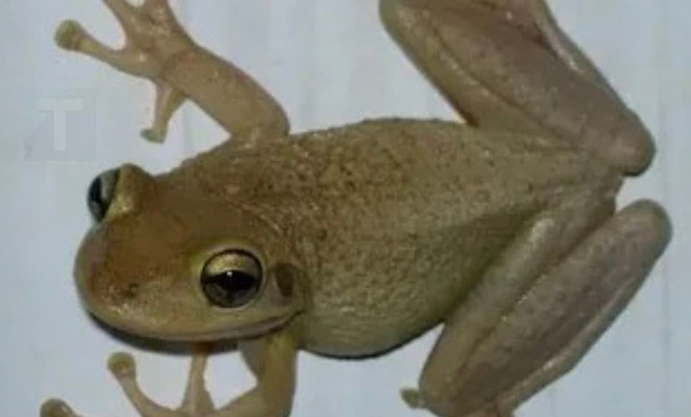 Στιγμιότυπο οθόνης 2025-11-01, 13.59.43