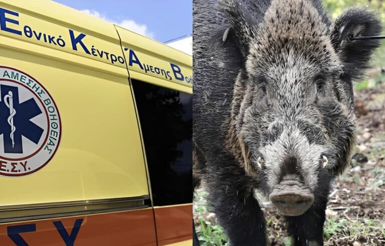Τραγωδία: Σκοτώθηκε 24χρονος μοτοσικλετιστής μετά από σύγκρουση με αγριογούρουνο