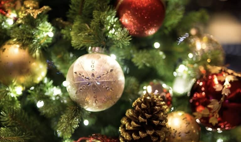 Το χριστουγεννιάτικο δέντρο από τα ΙΚΕΑ για μικρά διαμερίσματα – Στιλάτο και πρακτικό, κοστίζει 4 ευρώ