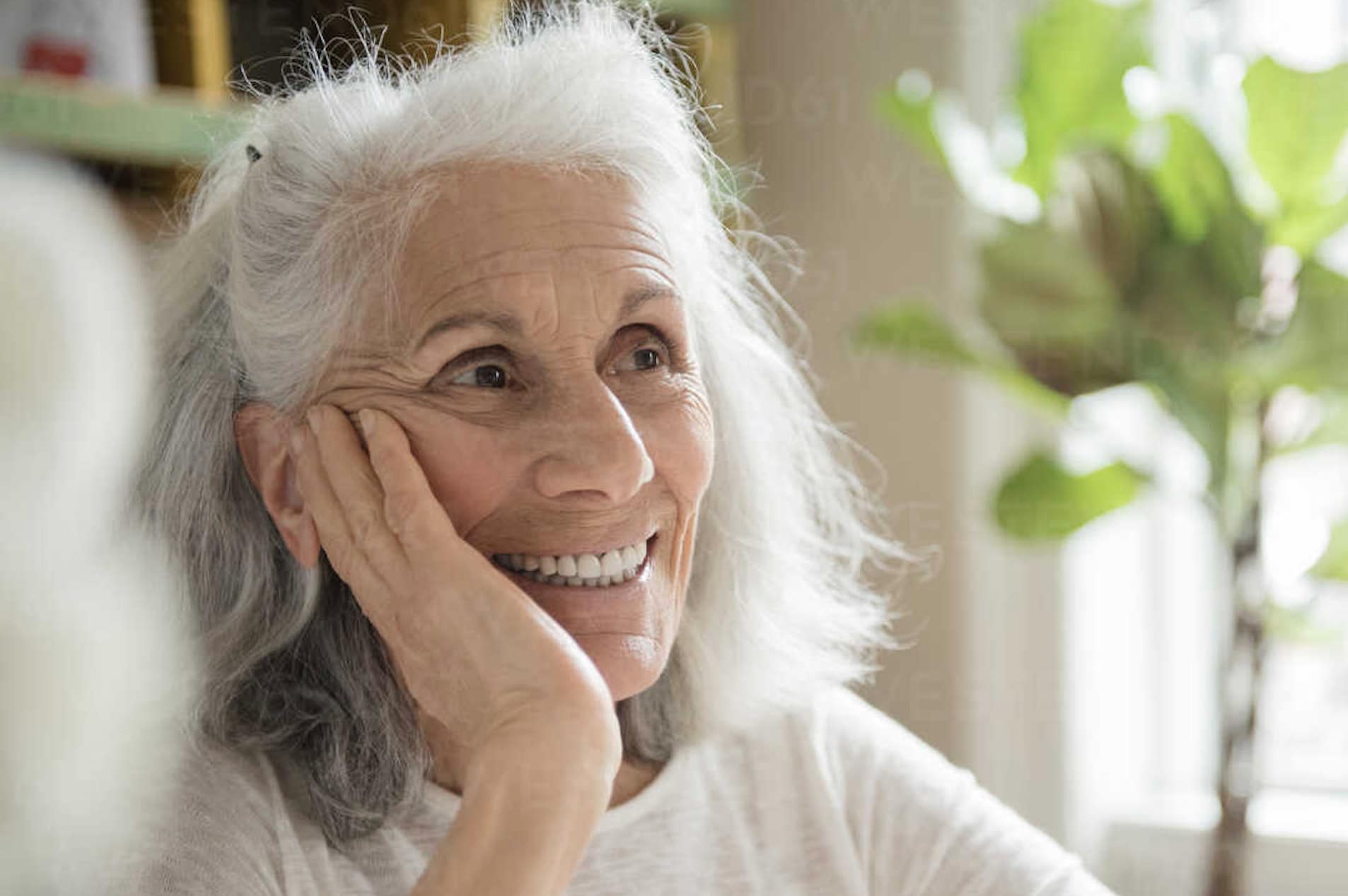 stigmiotypo othonis 2025 11 06 21.53.14