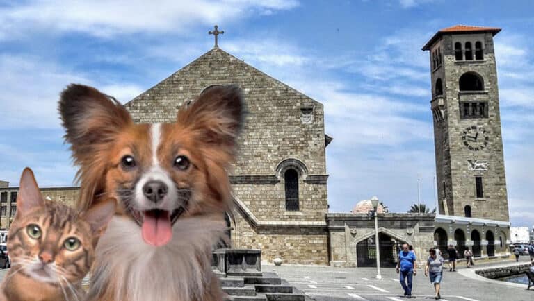 Θεία λειτουργία και αγιασμός για σκύλους και γάτες στη Ρόδο την Πέμπτη
