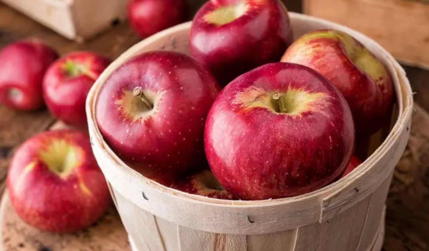 stigmiotypo othonis 2025 11 12 15.27.47