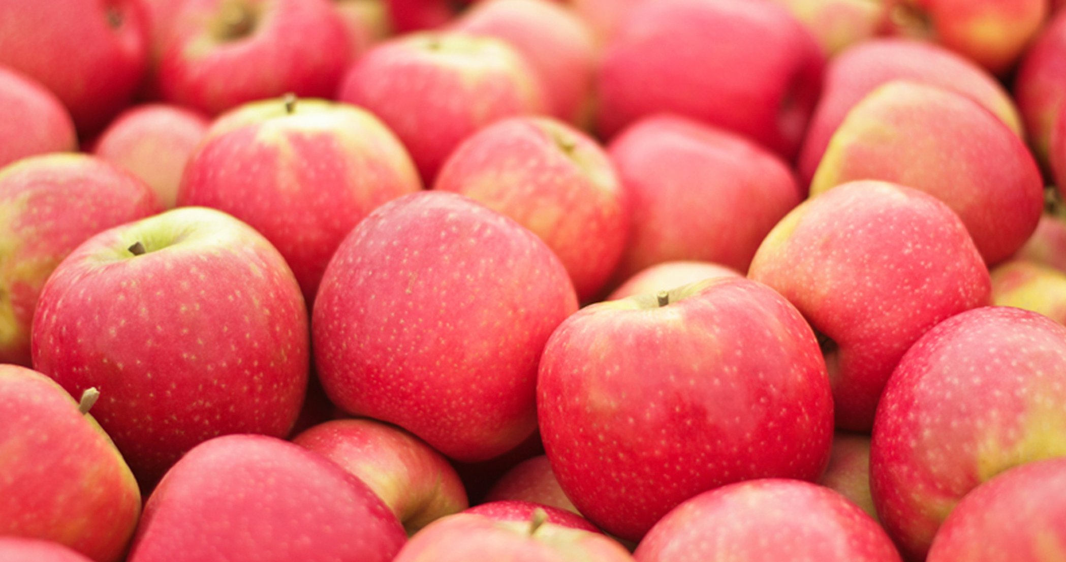 stigmiotypo othonis 2025 11 12 15.31.45