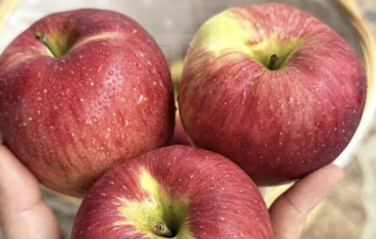 Οι γιατροί αποκαλύπτουν ότι η κατανάλωση μήλων προκαλεί…