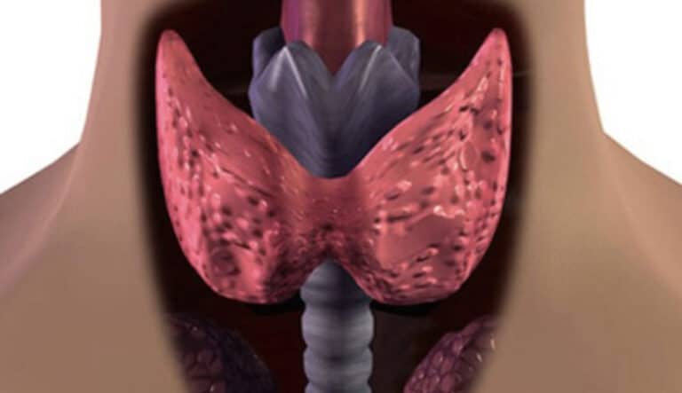 Τον τρως και… δυναμώνεις: Ο εξωτικός καρπός που λατρεύει ο θυρεοειδής – Προστατεύει την καρδιά και «ξυπνά» το μυαλό