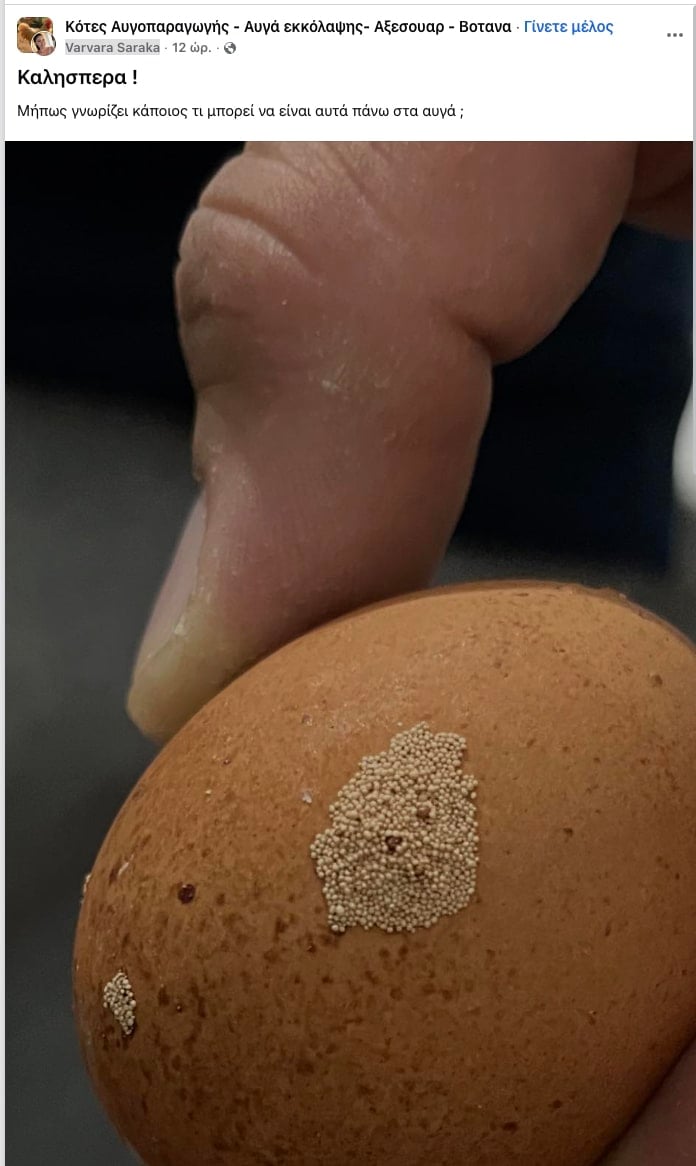 stigmiotypo othonis 2025 11 14 22.54.26