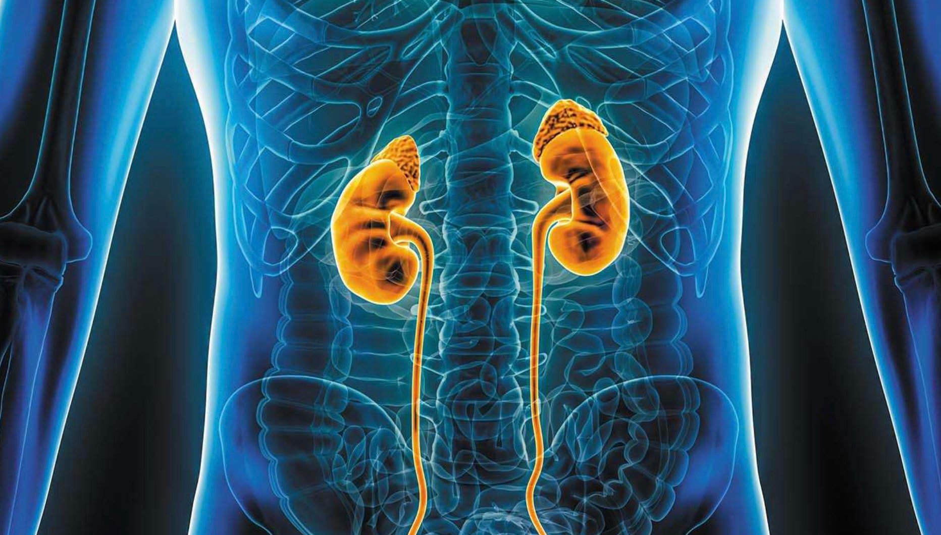 stigmiotypo othonis 2025 11 16 15.56.14