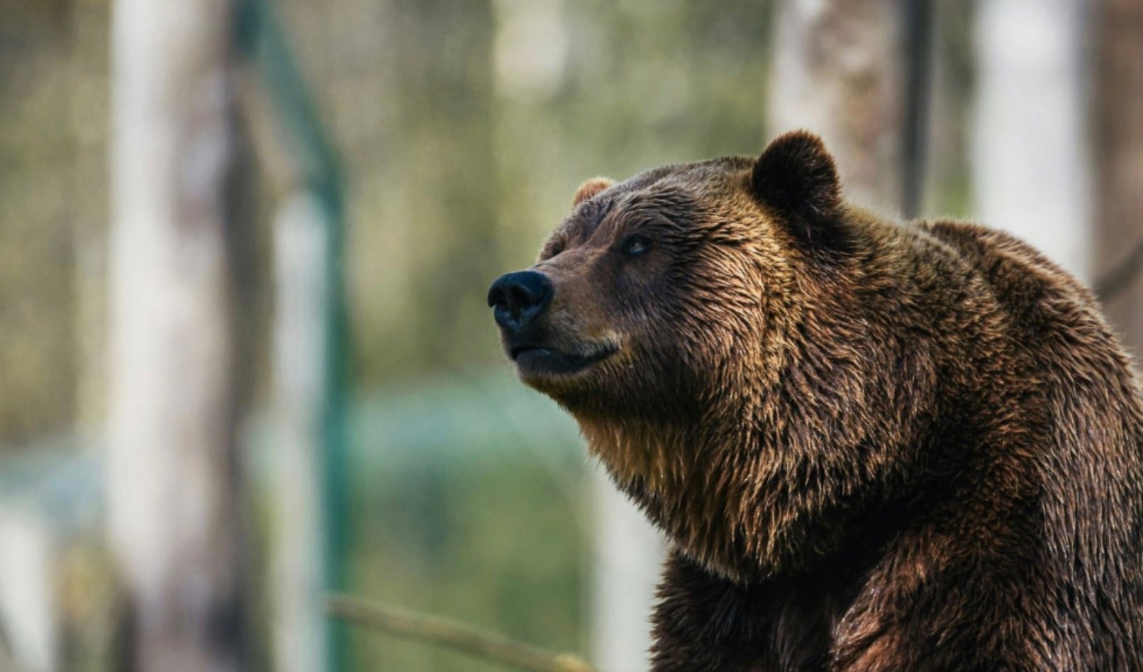 stigmiotypo othonis 2025 11 17 17.27.25