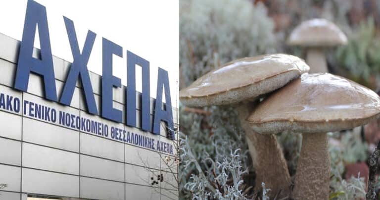 Ζευγάρι έφαγε μανιτάρια και νοσηλεύεται σε κρίσιμη κατάσταση – Αγώνας δρόμου για να βρεθούν μοσχεύματα