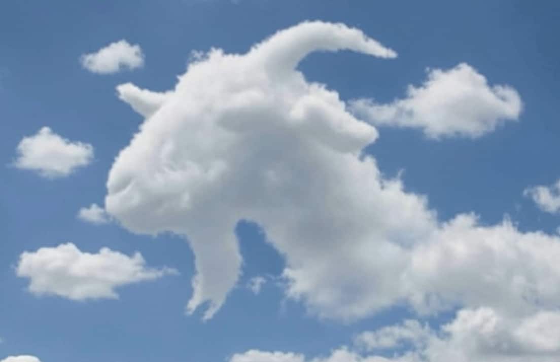 stigmiotypo othonis 2025 11 22 13.40.48 1