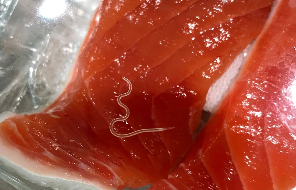 stigmiotypo othonis 2025 11 22 15.22.06