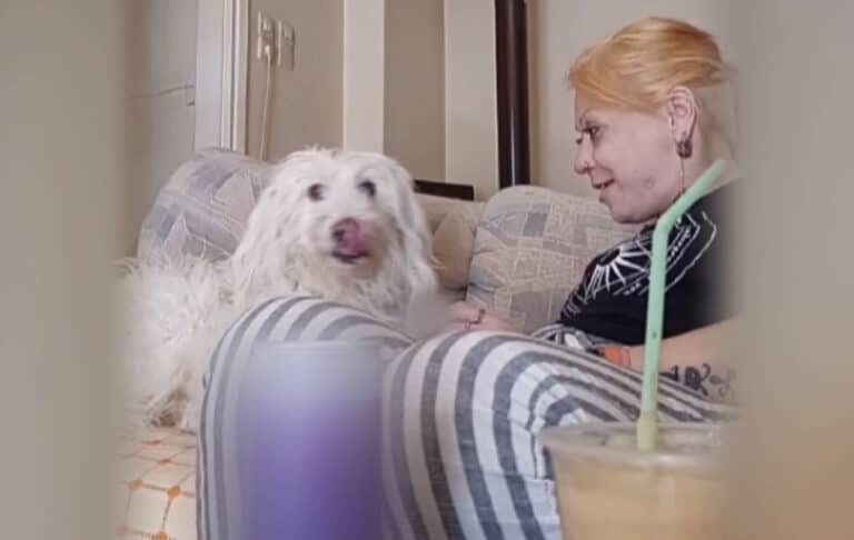 Θρίλερ με την εξαφάνιση της 27χρονης Βίκυς Κιουτσάκη: Ο άσχημος καβγάς και η «αρπαγή της Ρόζας»