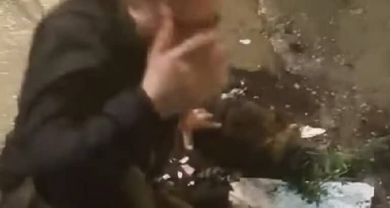 Θεσσαλονίκη: Βίντεο από τη στιγμή που διαρρήκτες σφαδάζουν – Πήδηξαν από μπαλκόνι και έσπασαν τα πόδια τους