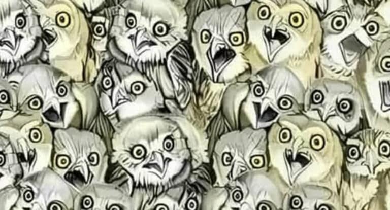 Μόνο άνθρωποι με πολύ καλή όραση μπορούν να βρουν τη γάτα