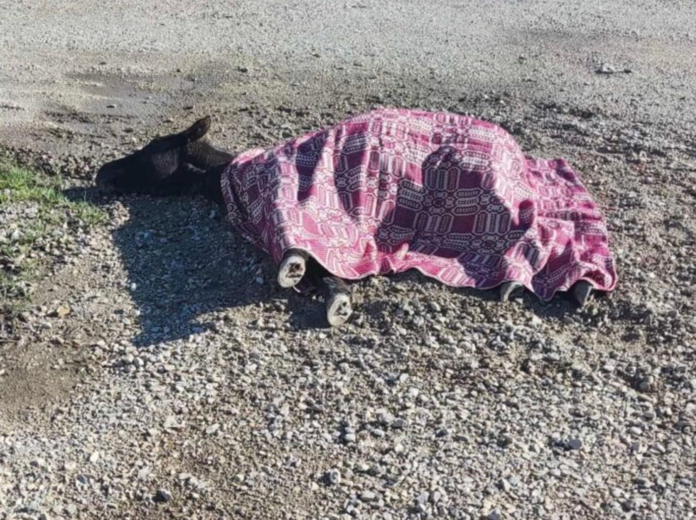 stigmiotypo othonis 2025 11 24 18.09.04