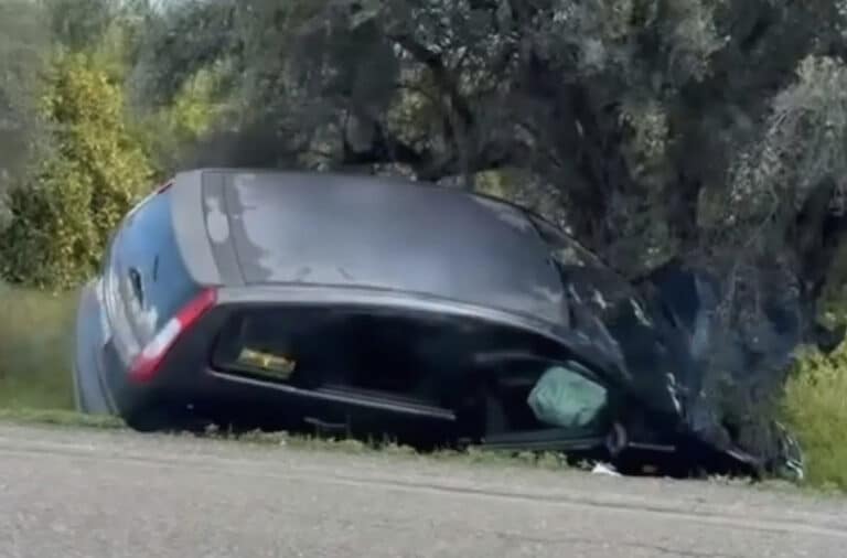 Αυτοκίνητο «πέταξε» εκτός δρόμου και καρφώθηκε σε ελιά – Σώα η γυναίκα που οδηγούσε