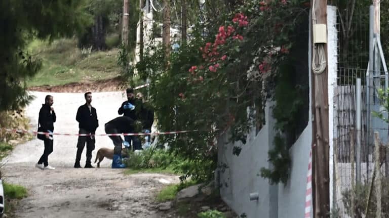 Σοκ στη Σαλαμίνα – Νύφη σκότωσε την πεθερά με τον πιο άγριο τρόπο