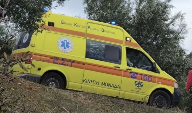 Τραγωδία στη Φθιώτιδα: 50χρονος πέθανε μετά από τσίμπημα μέλισσας – Έτρεξε να σωθεί και βγήκε εκτός δρόμου με το αυτοκίνητο