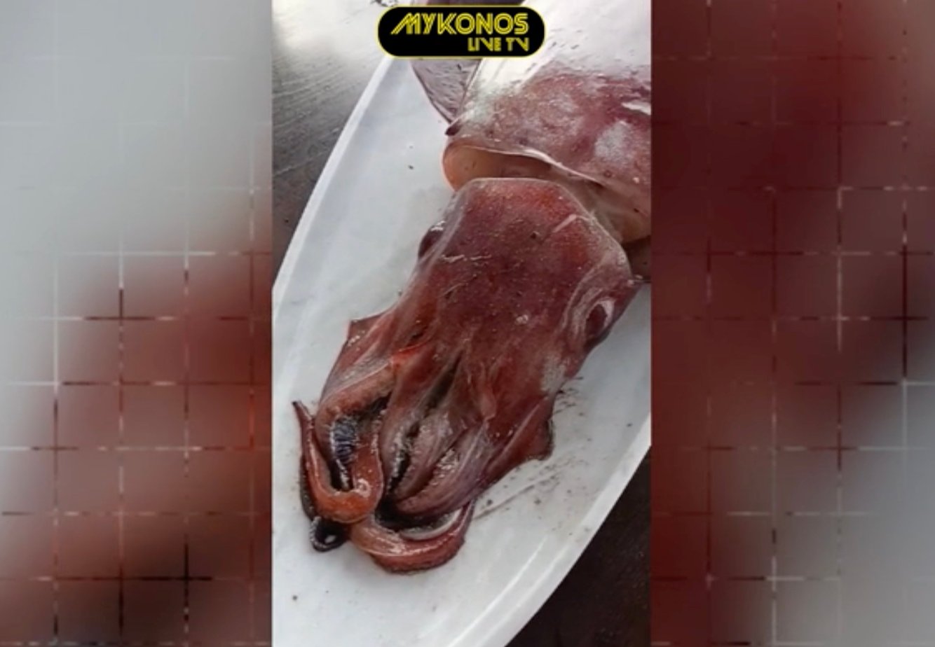 stigmiotypo othonis 2025 11 27 23.03.04