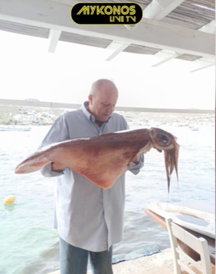 stigmiotypo othonis 2025 11 27 23.04.42